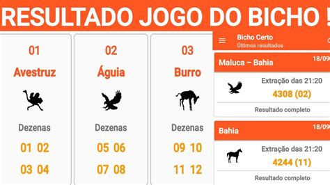 resultado do jogo do bicho da banca confiança